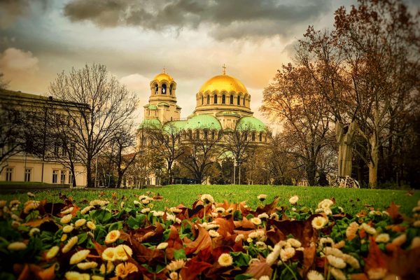 Добрите новини от 21.12.2019