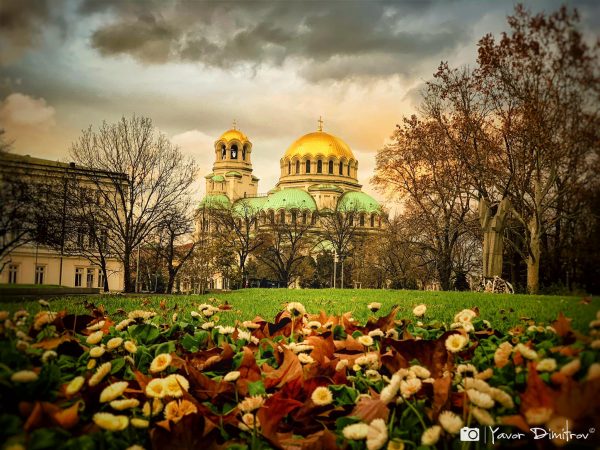 Добрите новини от 21.12.2019