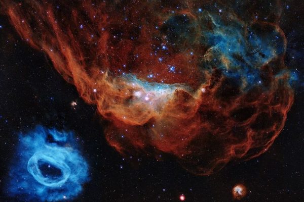 Добрите новини от 26.04.2020